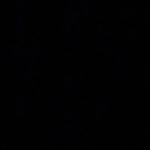 Meet your Posher, Keisha